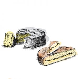 Accords mets & vins - Fromage vache
