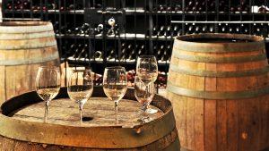 Vin Côtes du Rhône - Constituer sa cave