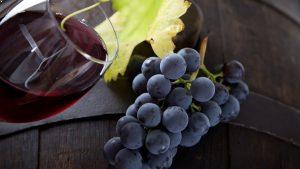 Vin Côtes du Rhône - Dégustation vin